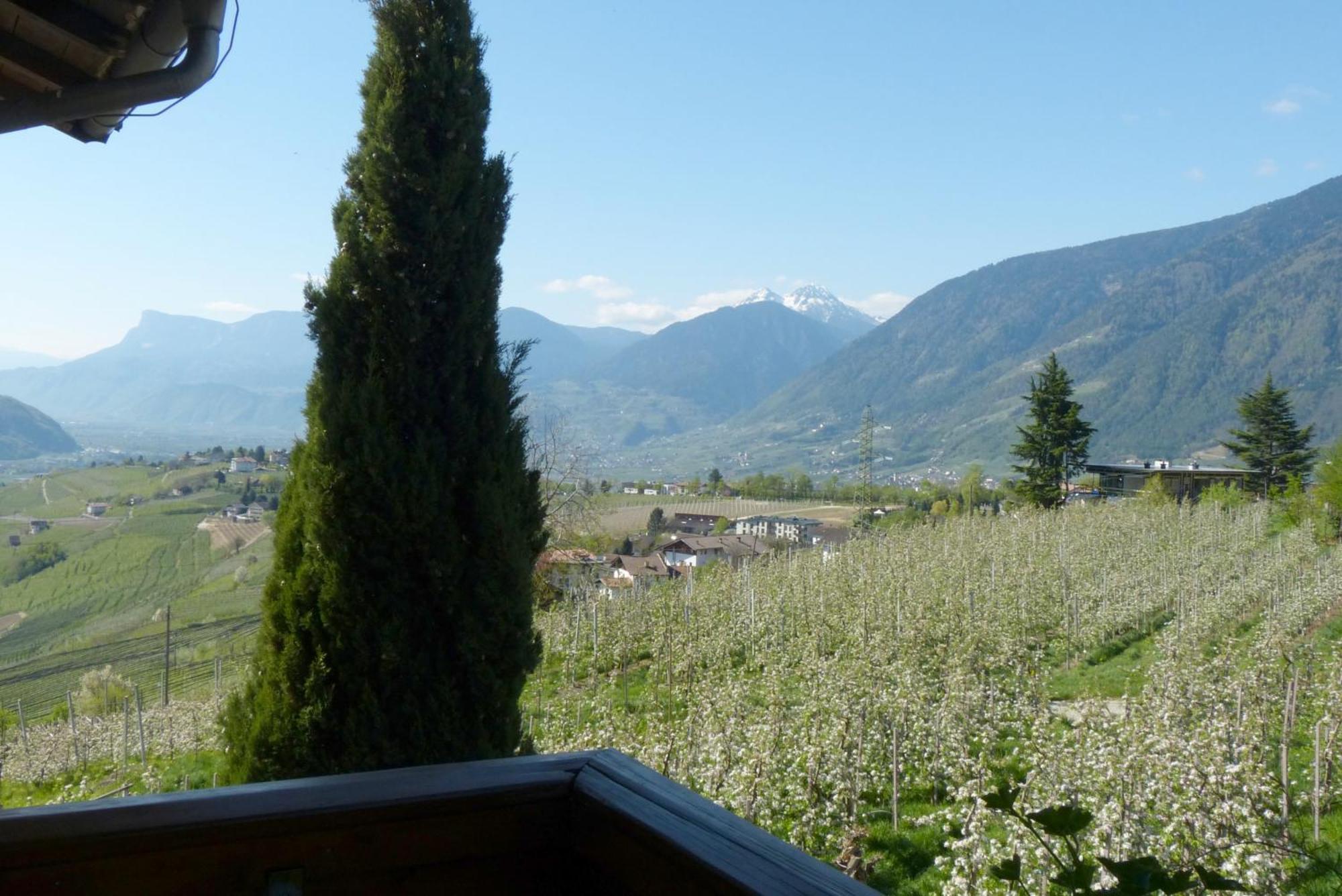 Garni Sonnleiten Tirolo Exterior foto